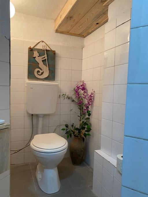 Apartment Nature Of Sea In The Center *